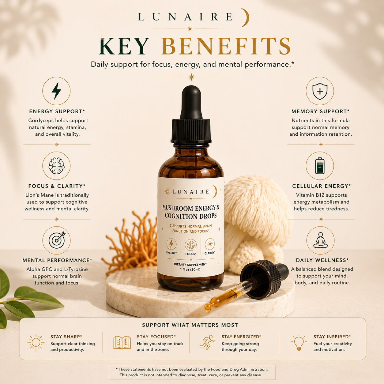 Mushroom Energy & Cognition Drops