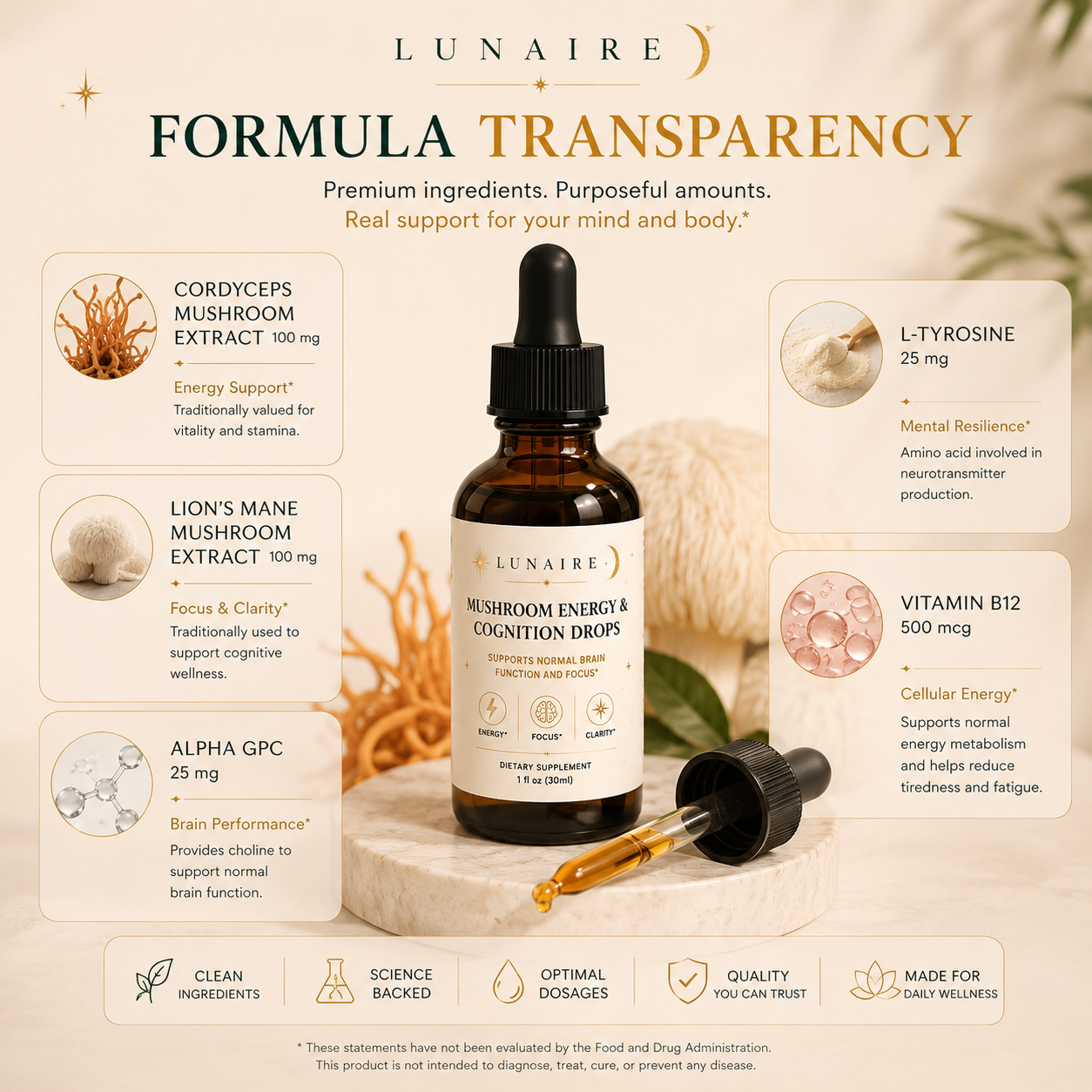 Mushroom Energy & Cognition Drops