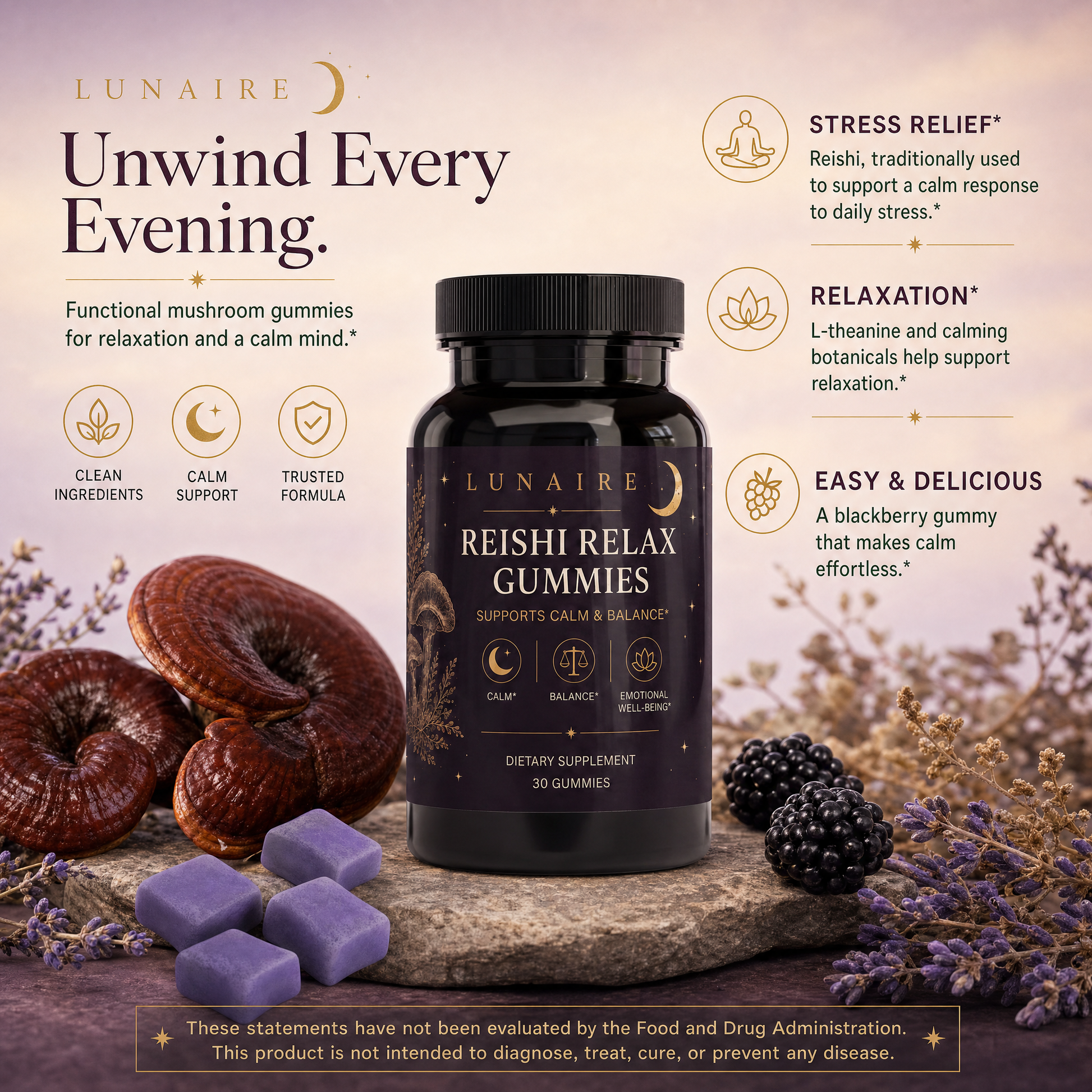 Reishi Relax Gummies - Unwind Every Evening