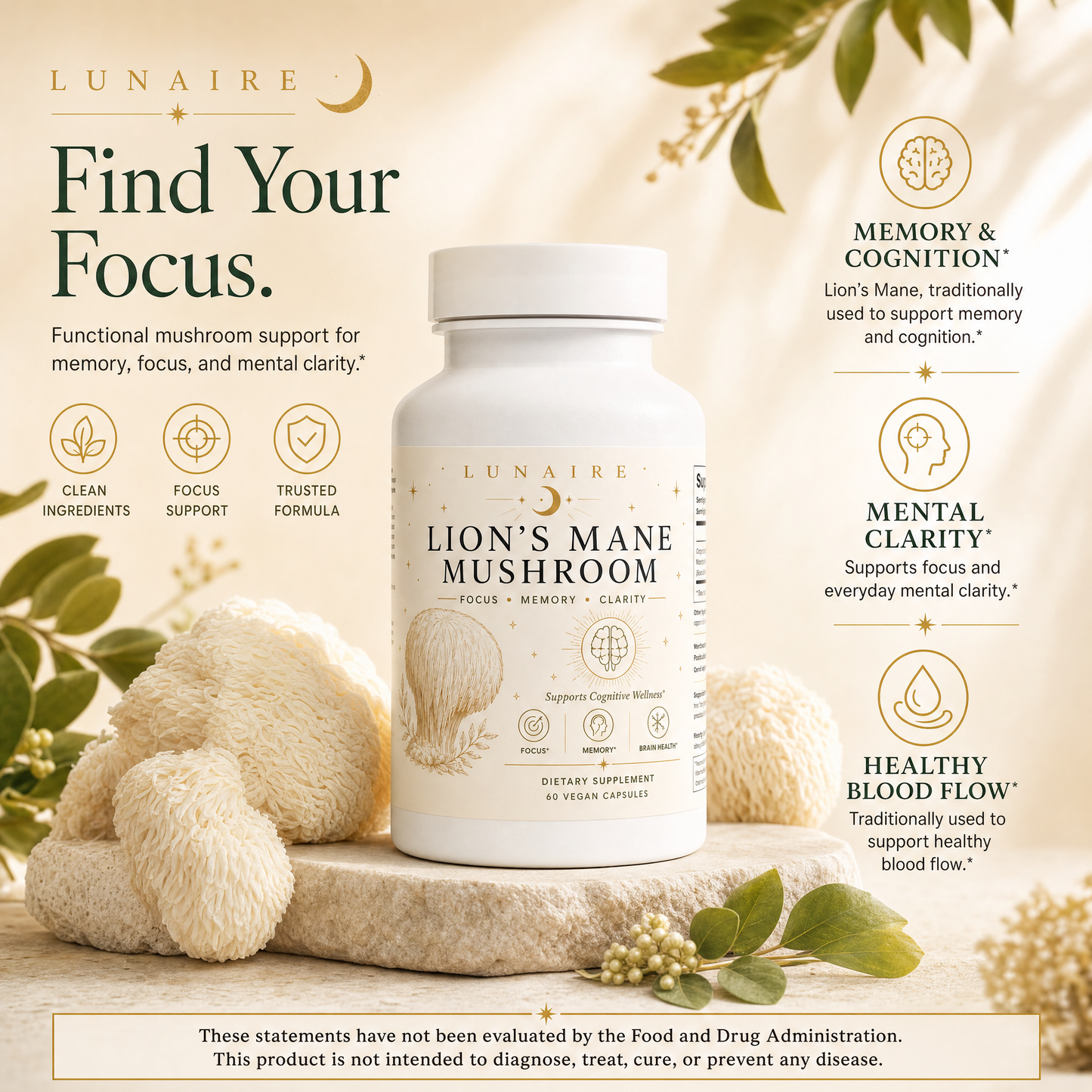 Lion's Mane - Find Your Focus