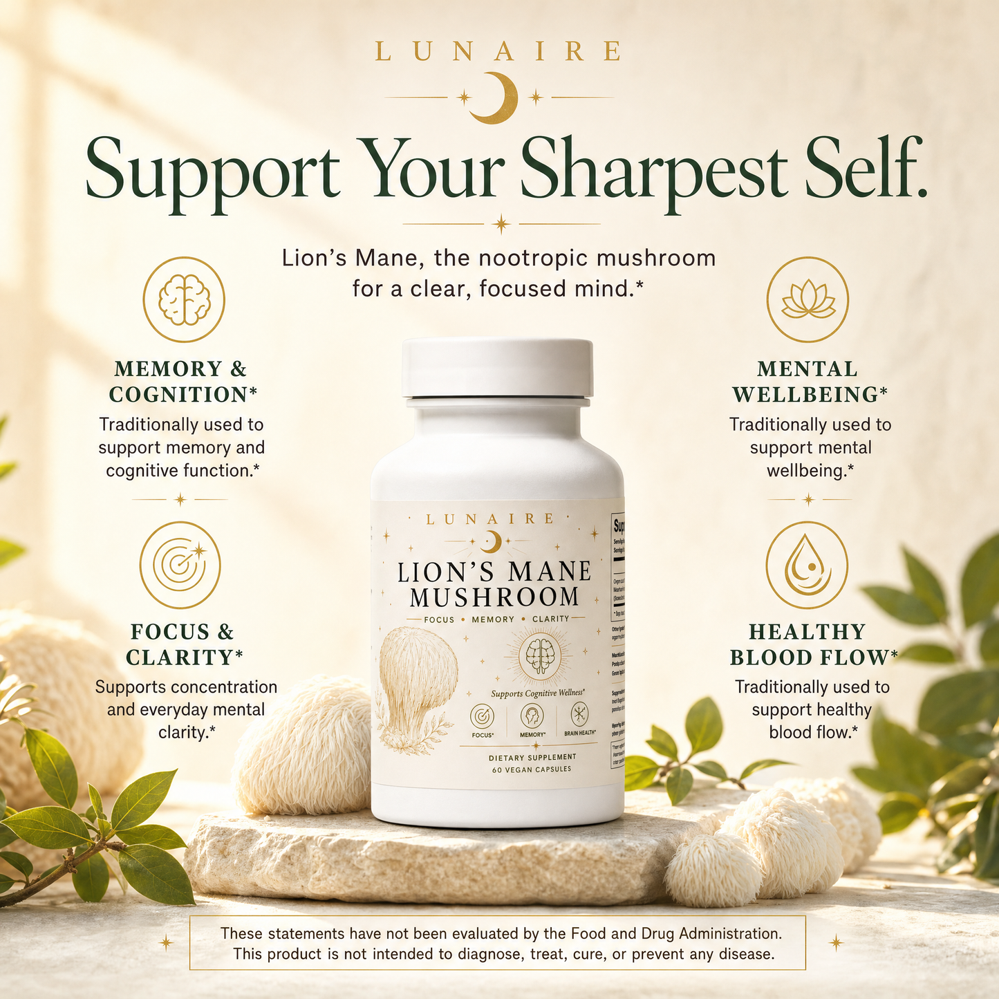 Lion's Mane - Support Your Sharpest Self