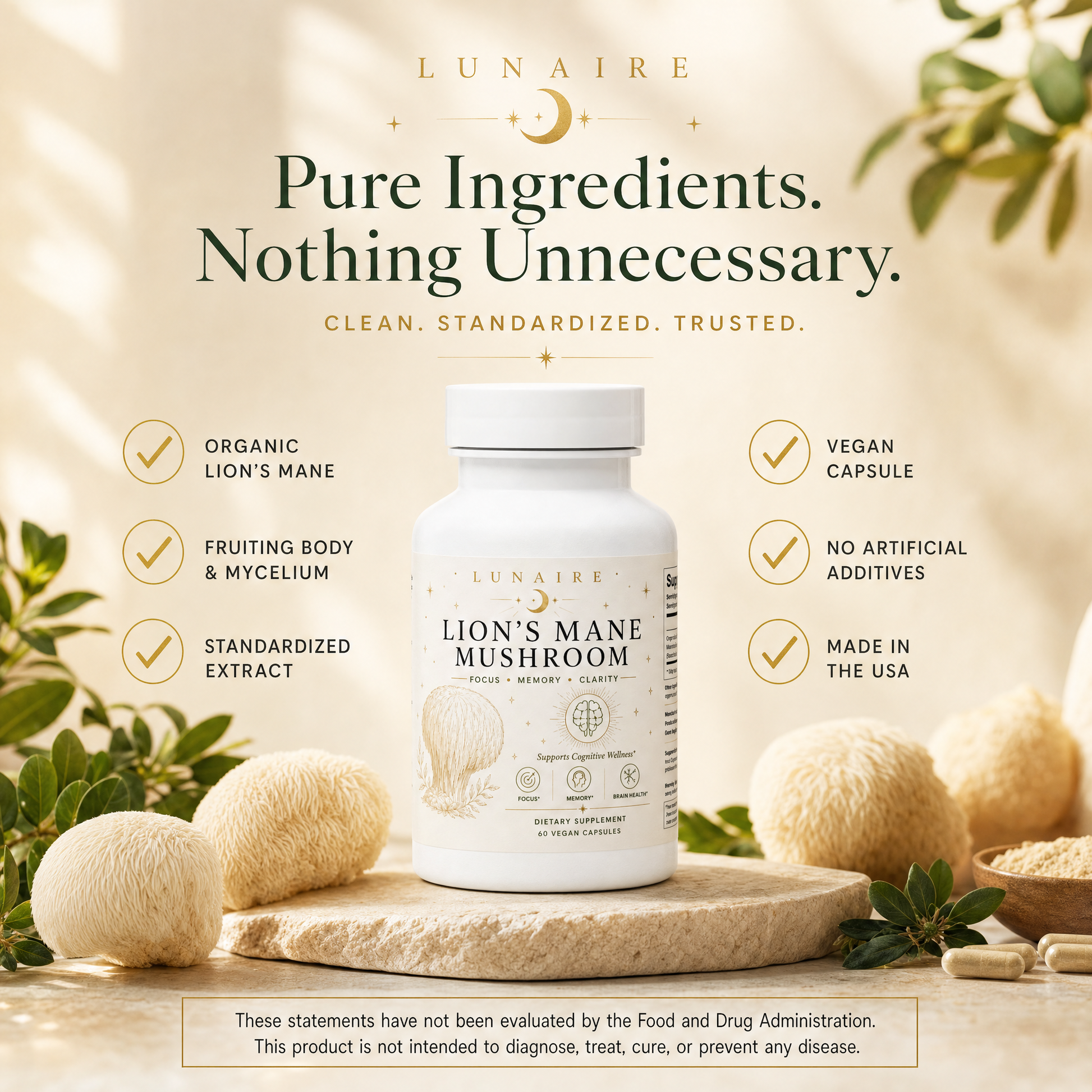 Lion's Mane - Pure Ingredients