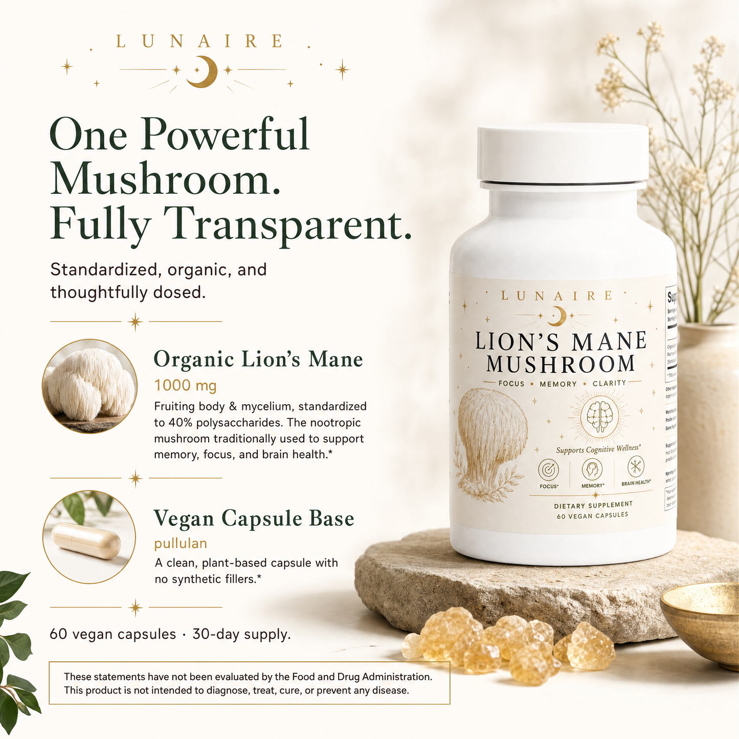 Lion's Mane - Ingredient Transparency