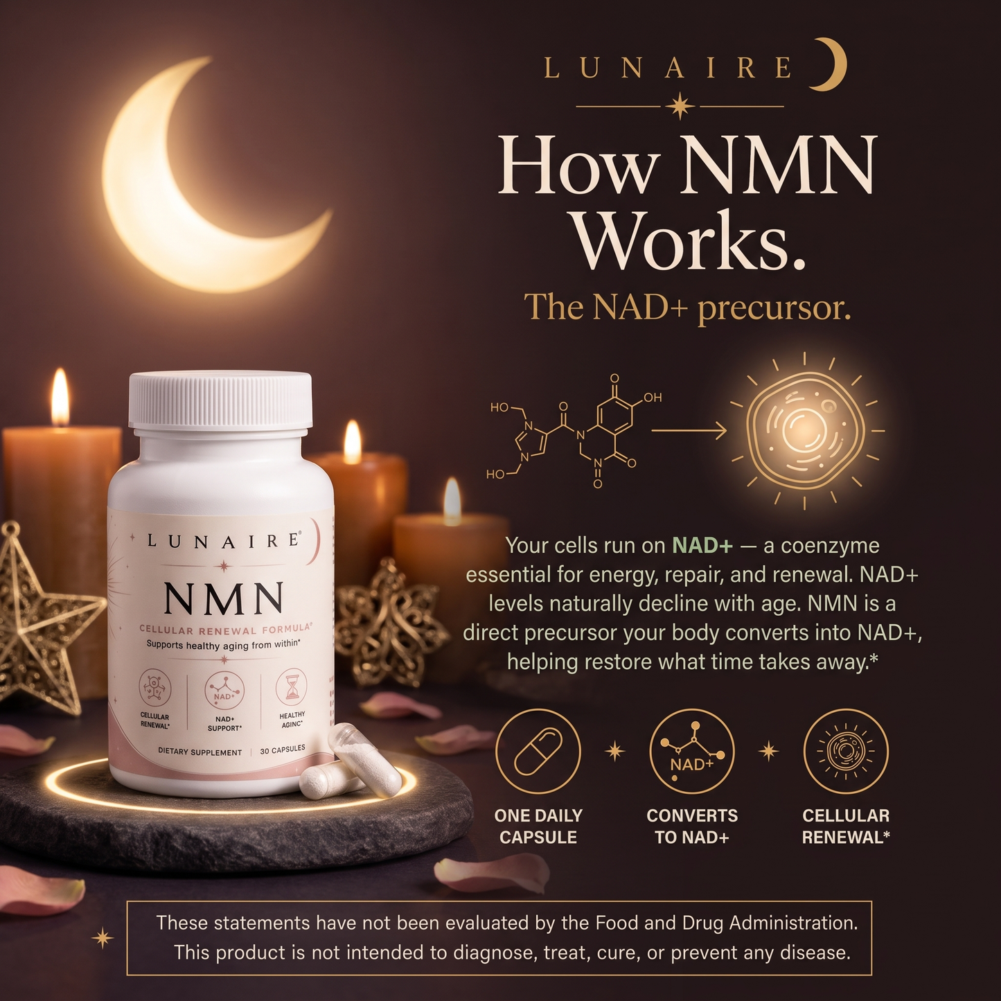 How Lunaire NMN works — a direct NAD+ precursor supporting cellular energy and renewal